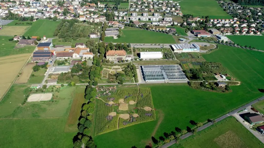 site Evologia Cernier